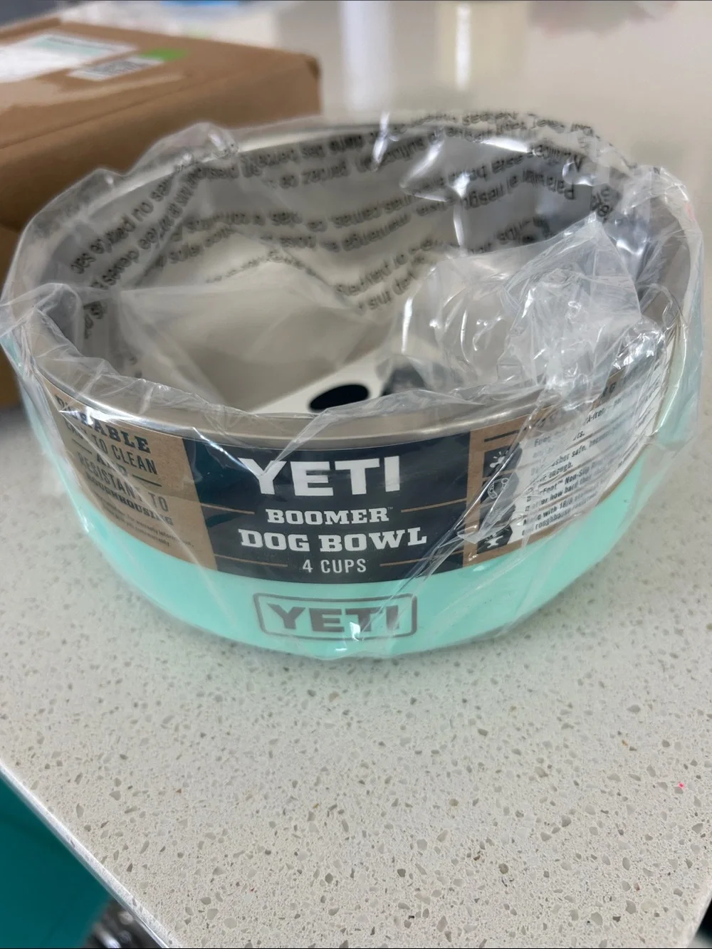 Yeti Boomer Stainless Steel Dog Bowl in Seafoam Green